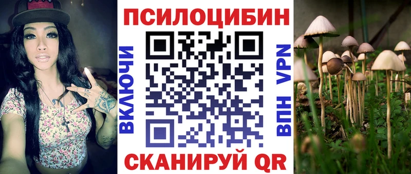 Псилоцибиновые грибы ЛСД наркота Бодайбо